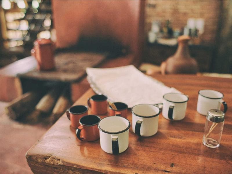 Collection 343 — nature 29743