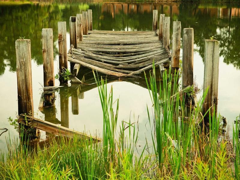 Collection 348 — street 29748