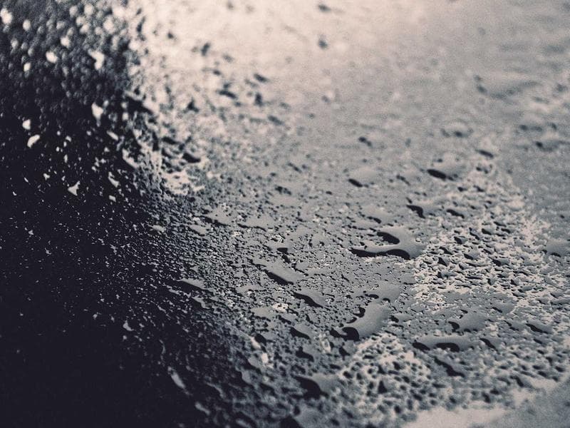 Collection 349 — wedding 29749