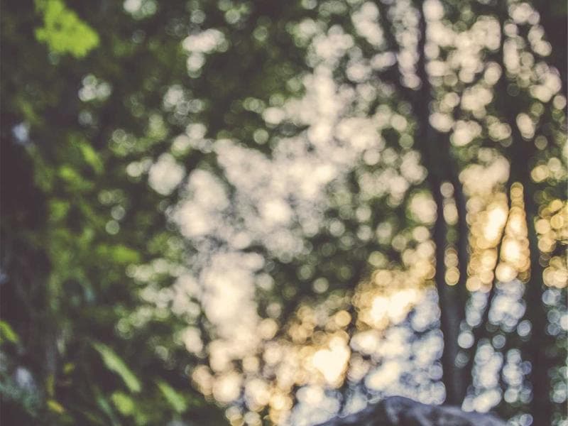 Collection 350 — product 29750