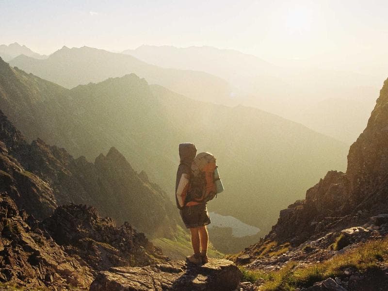 Collection 354 — portrait 29754