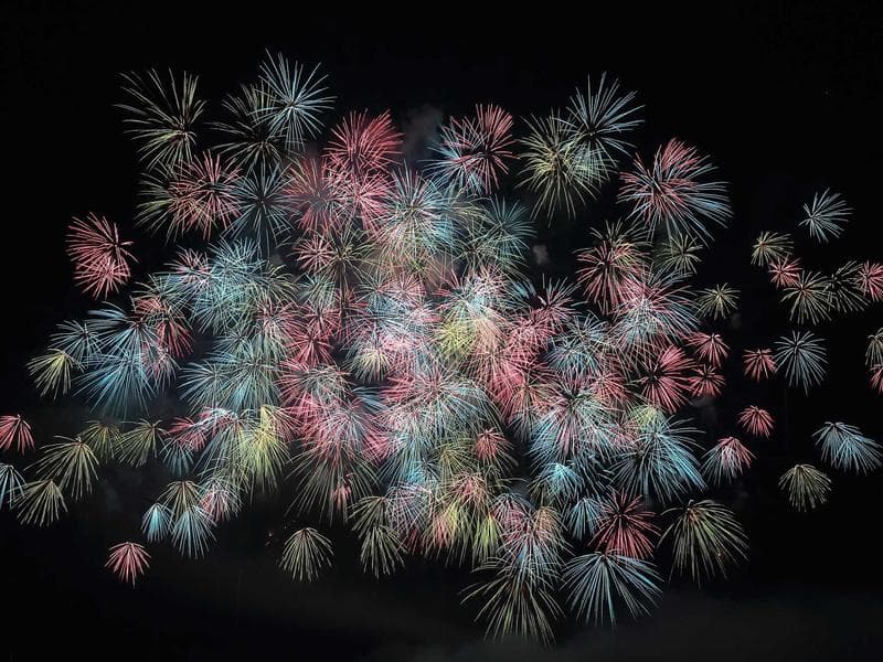 Collection 356 — street 29756