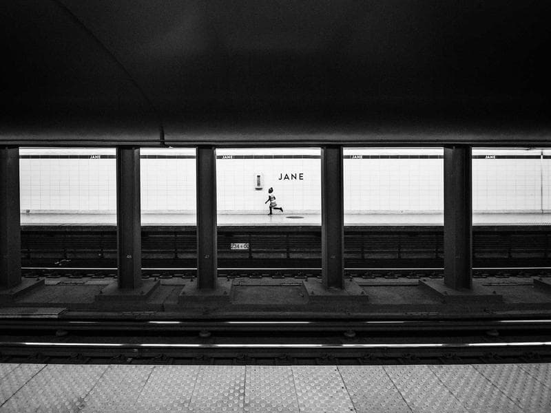 Collection 370 — portrait 29770