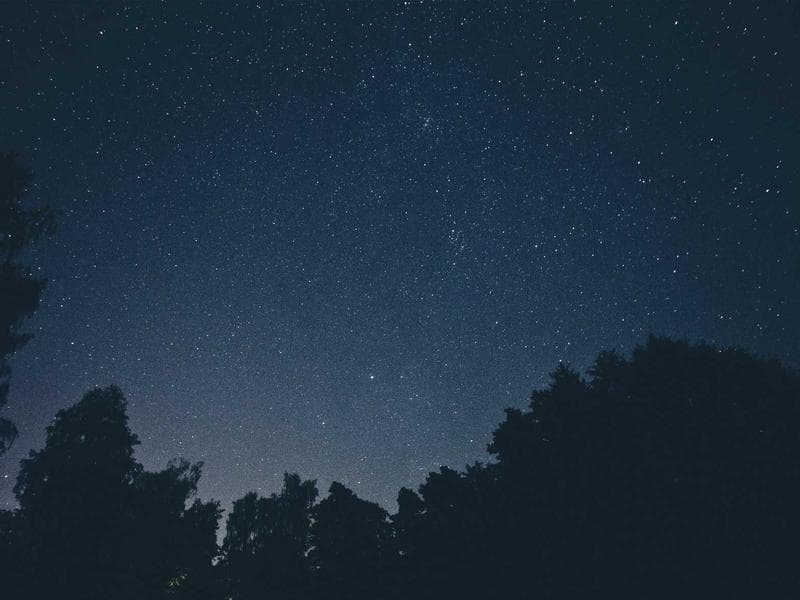 Collection 373 — wedding 29773