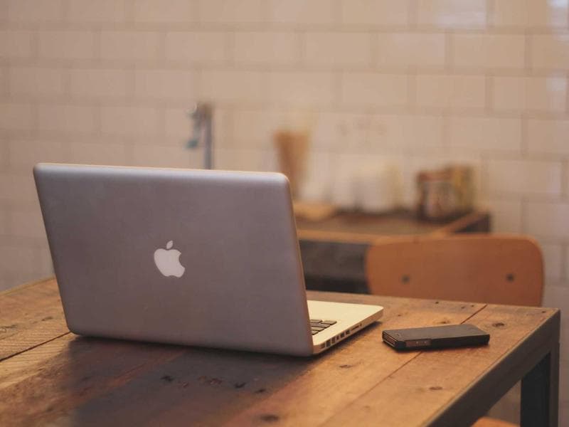 Collection 383 — nature 29783