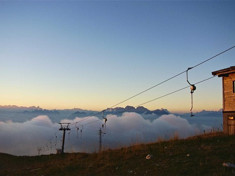 Collection 386 — portrait 29786