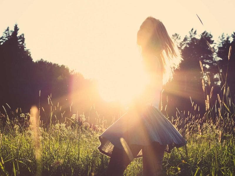 Collection 389 — wedding 29789