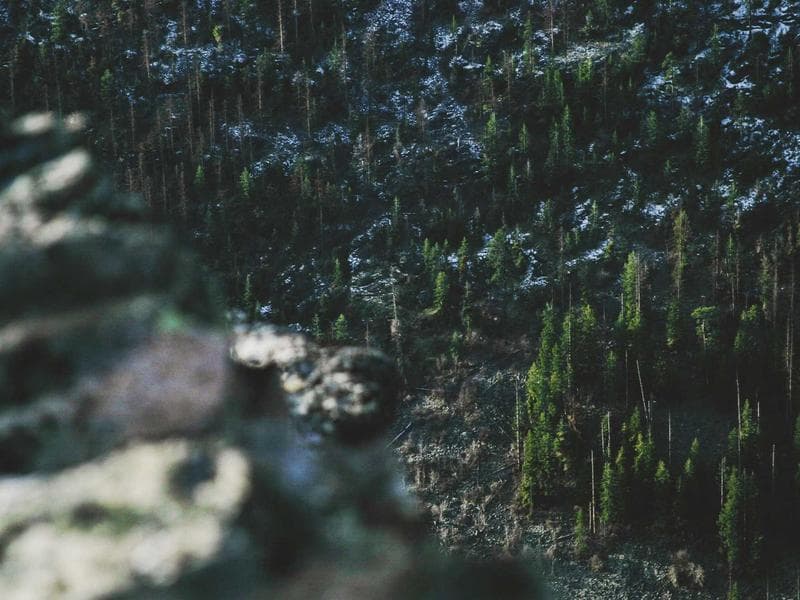 Collection 413 — wedding 29813