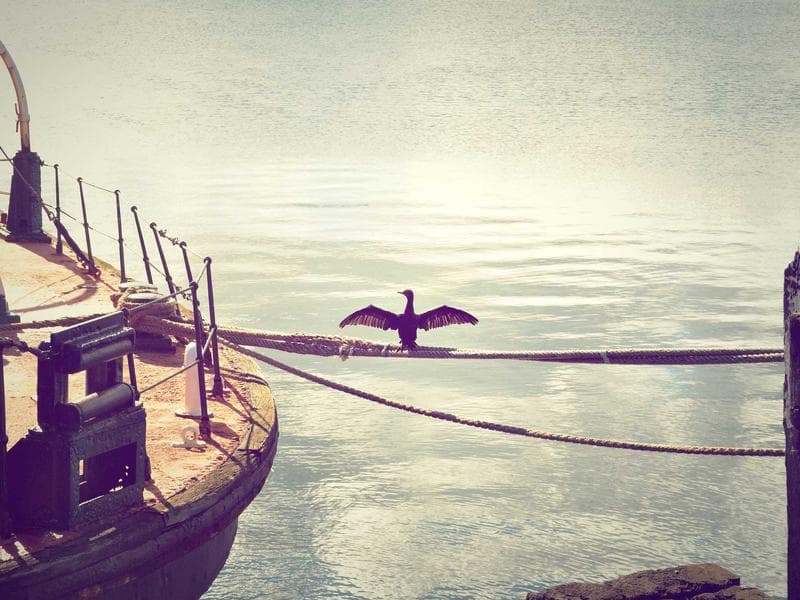 Collection 416 — architecture 29816