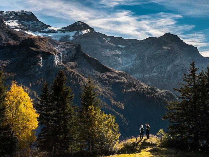 Collection 419 — editorial 29819