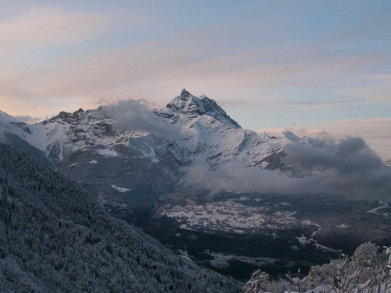 Collection 422 — product 29822