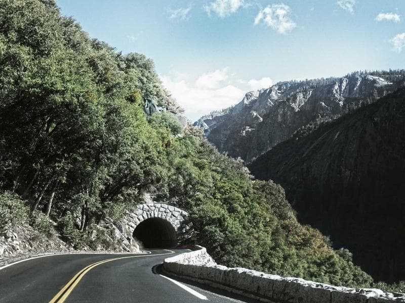 Collection 426 — portrait 29826