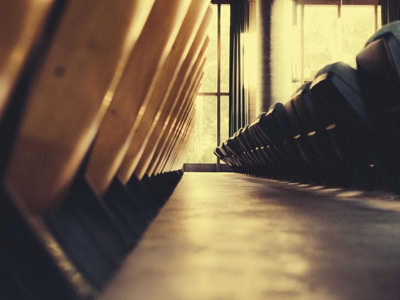 Collection 439 — nature 29839