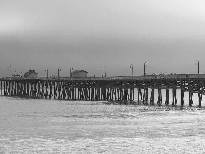 Collection 443 — editorial 29843