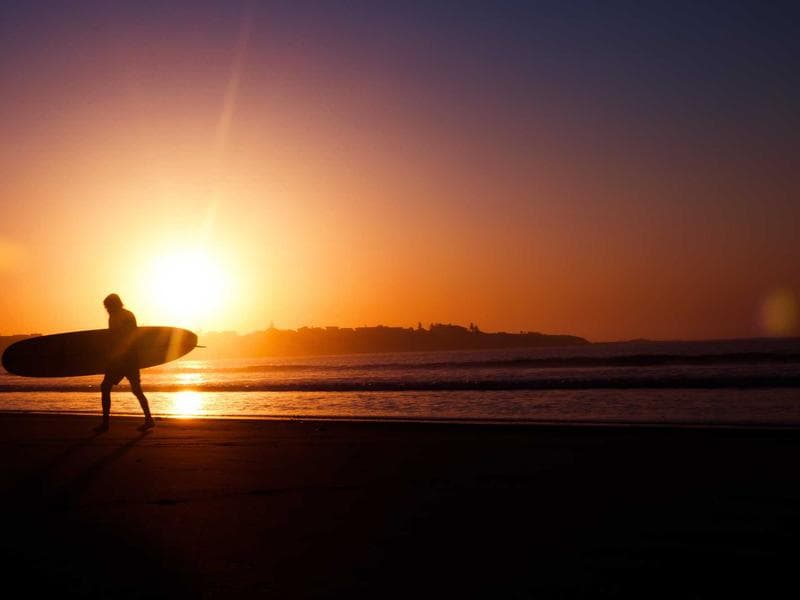 Collection 447 — nature 29847