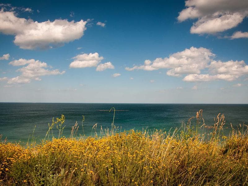 Collection 450 — portrait 29850