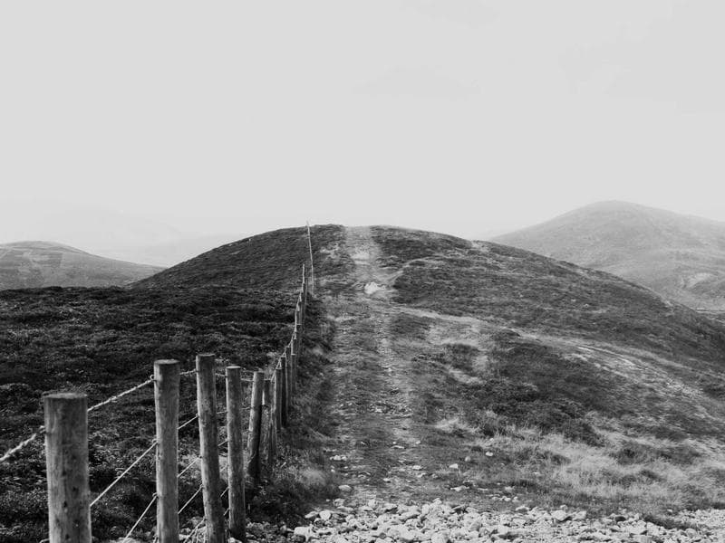 Collection 454 — product 29854