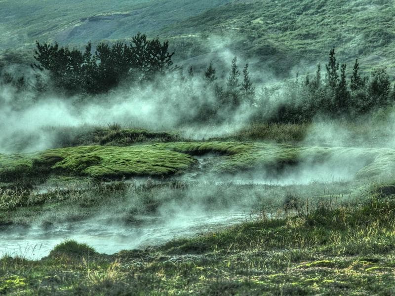 Collection 458 — portrait 29858