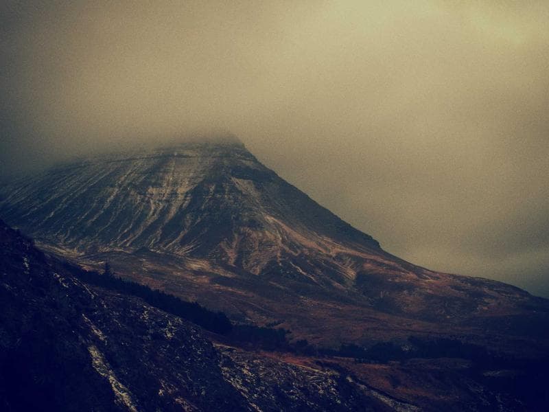 Collection 470 — product 29870