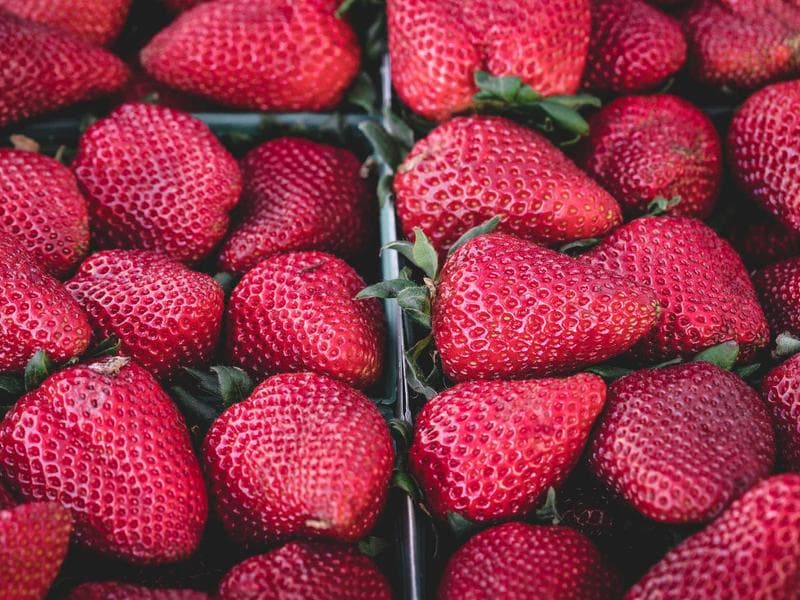 Collection 472 — architecture 29872