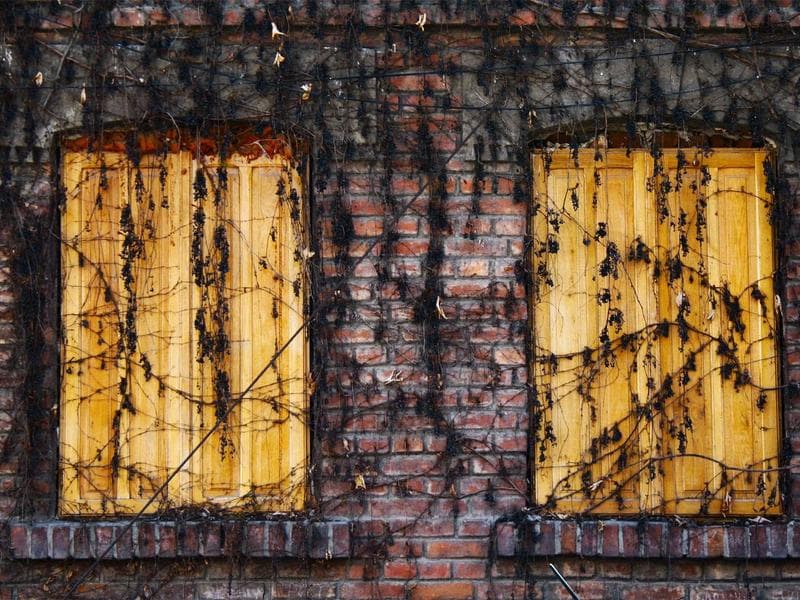 Collection 478 — product 29878