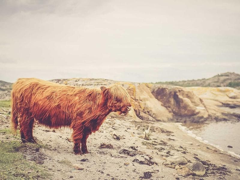 Collection 480 — architecture 29880