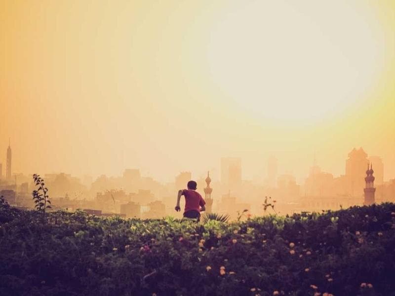 Collection 482 — portrait 29882