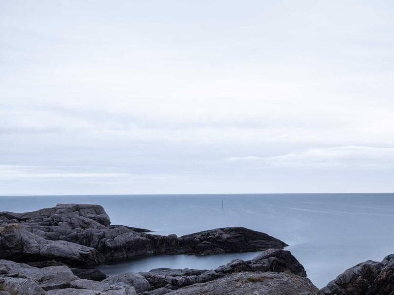 Collection 483 — editorial 29883