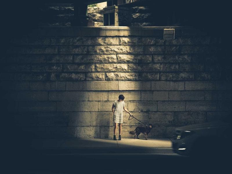 Collection 494 — product 29894