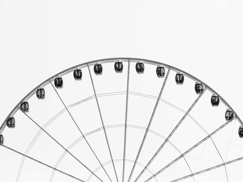 Collection 495 — nature 29895