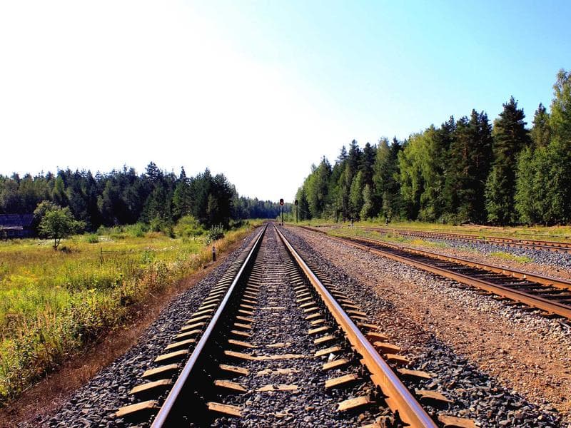 Collection 506 — portrait 29906