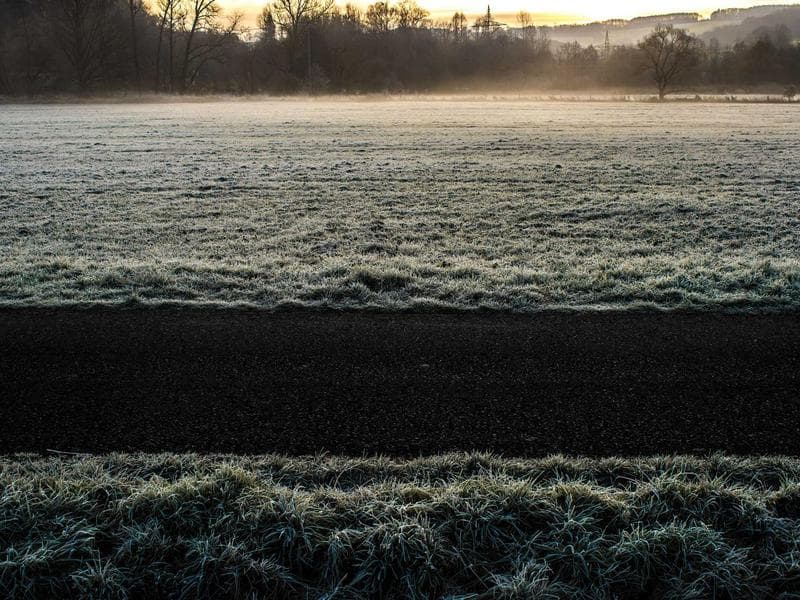 Collection 521 — landscape 29921