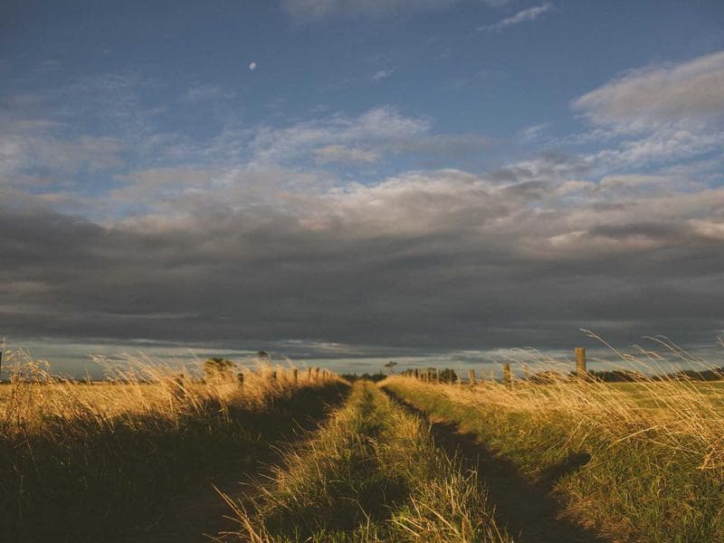 Collection 533 — wedding 29933