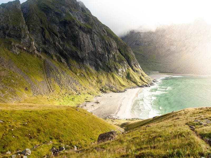 Collection 534 — product 29934