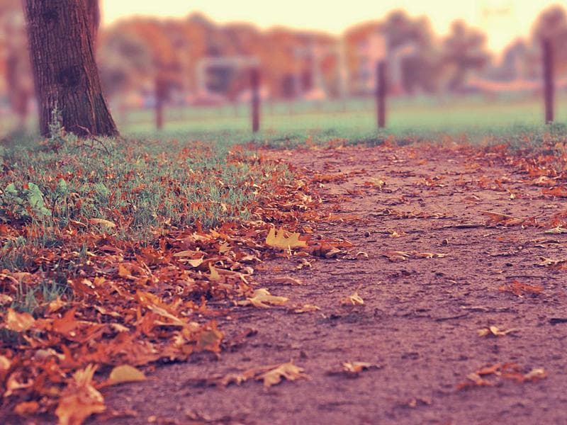 Collection 549 — wedding 29949