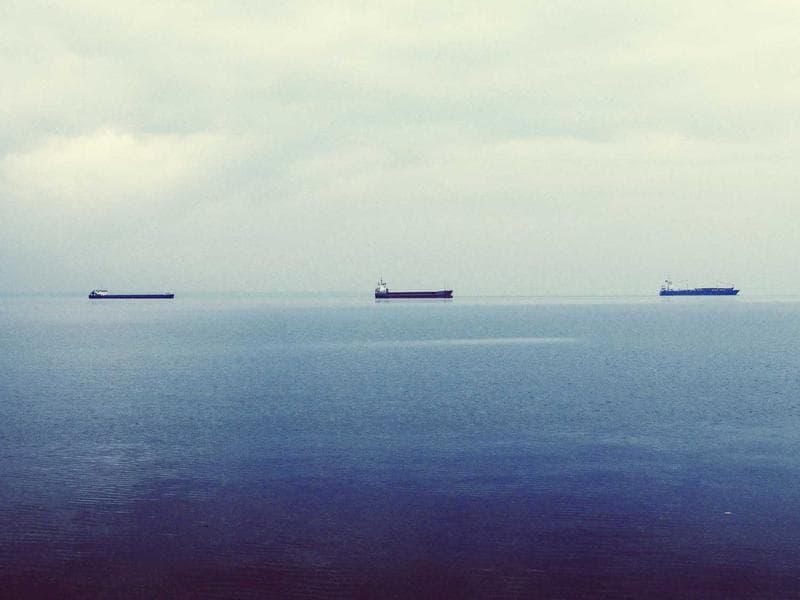 Collection 551 — nature 29951