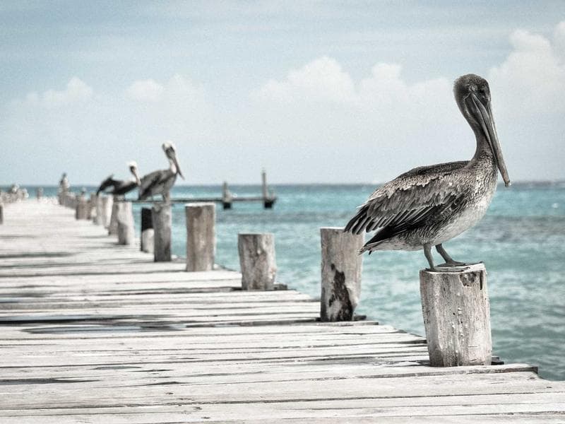 Collection 552 — architecture 29952