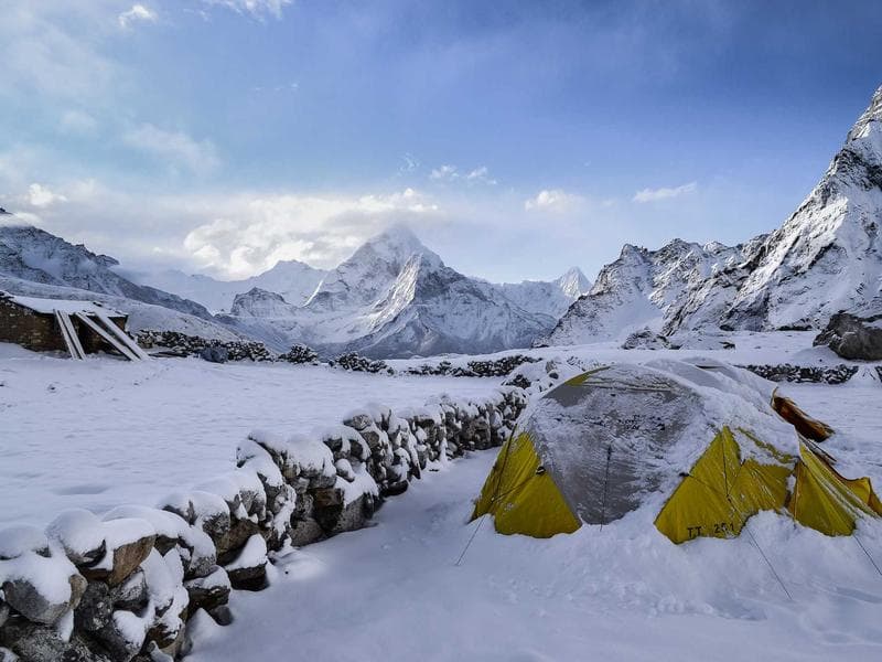 Collection 556 — street 29956