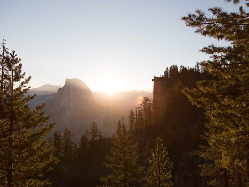 Collection 558 — product 29958