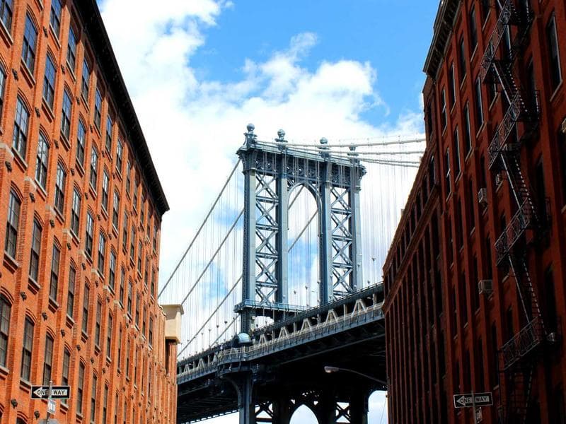 Collection 561 — landscape 29961