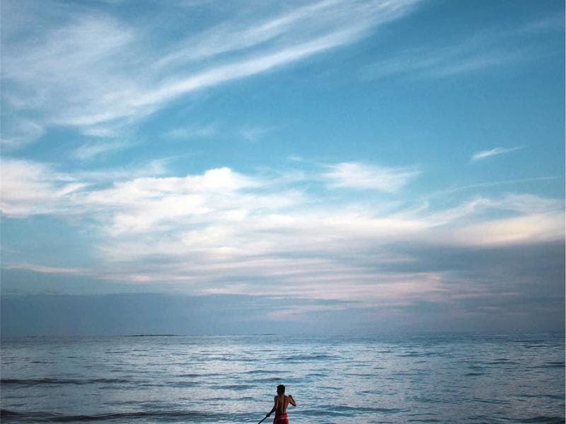 Collection 575 — nature 29975