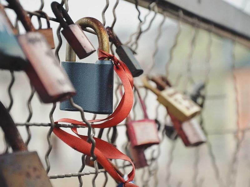 Collection 583 — nature 29983