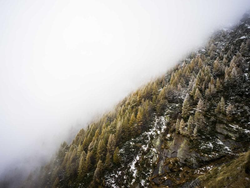 Collection 598 — product 29998